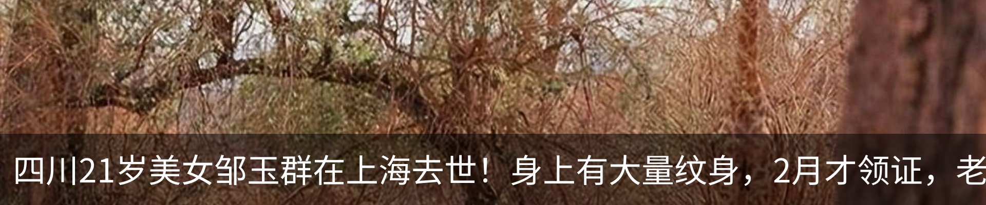热点资讯
